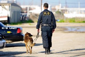 A police K9 team walk back to their car in a run-down part of town.